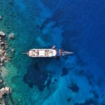 5 ciudades estadounidenses que celebran por todo lo alto el Año Nuevo Lunar »