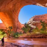 La caída de un gigante americano. Causas de su Declive en las últimas Décadas »