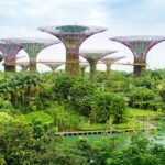 Rutas de Peregrinación que Marcarán tu Espíritu »