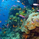 Los 10 Destinos Turísticos Abandonados Más Fascinantes del Mundo »