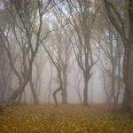 5 Pueblos Pequeños con Secretos Muy Grandes »