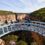 ¿Qué Autos Usan los Millonarios Dominicanos para Pasear por la República Dominicana? »