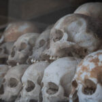 5 Autos que Te Harán Sentir como en una Película de Acción este 2025 »