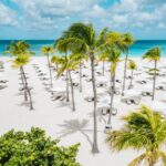 Los 5 autos que marcarán un antes y un después en la conducción híbrida en el 2026 »