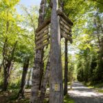 ¿Cuáles son las 5 ciudades europeas que ofrecen los mejores tours en el 2026? »