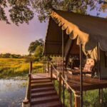 ¿Qué 5 modelos vintage ofrecen la mejor relación calidad-precio para coleccionistas? »