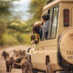 Los 5 SUVs de 3 filas del 2026 con el mejor acceso a la tercera fila »